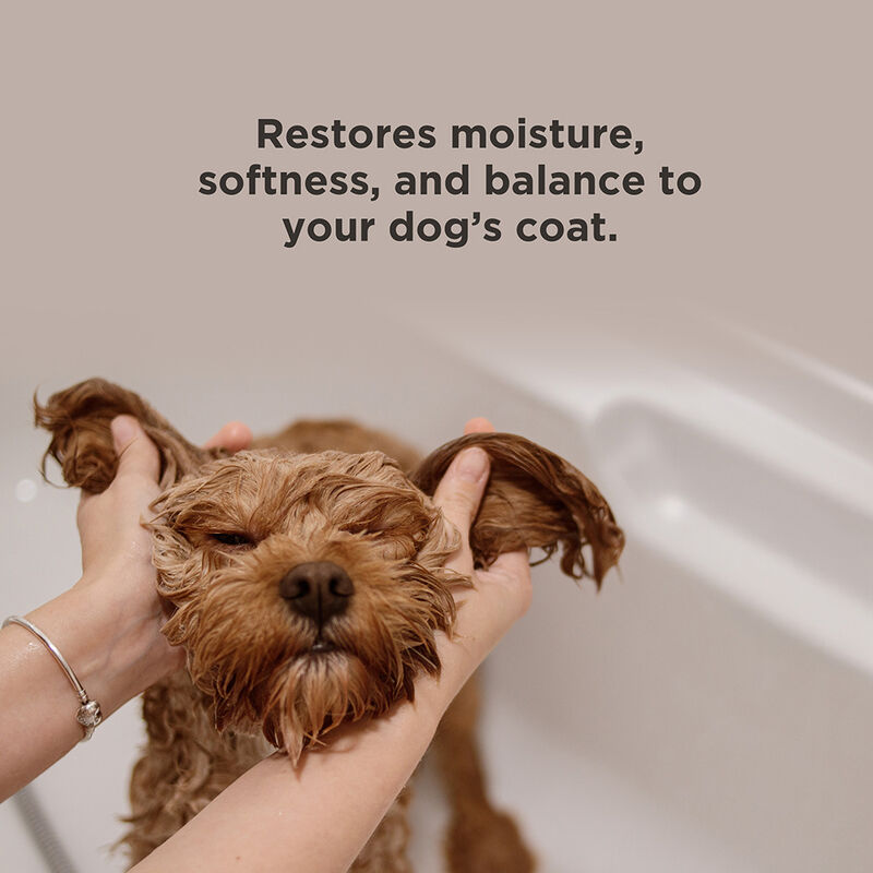 BioSilk For Dogs Detangling Conditioner, , large image number null